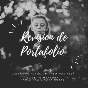 Revisión de Portafolio por Paola Paz y Cata Rojas