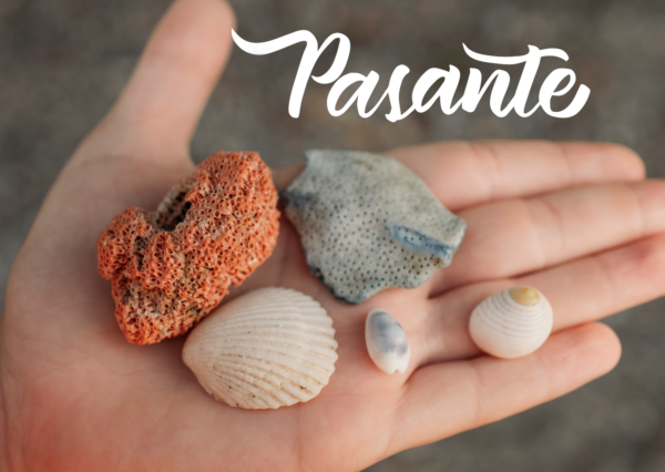 PASANTE PRESETS  /  Colección full - Imagen 5