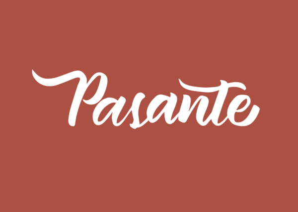 PASANTE PRESETS  /  Colección full - Imagen 7