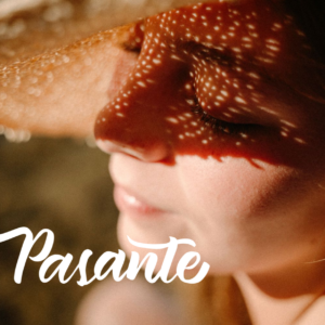 PASANTE PRESETS  /  Colección full