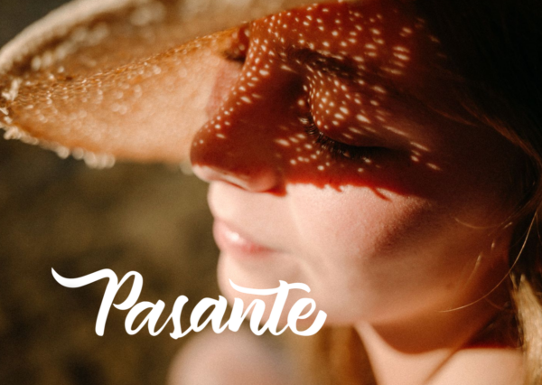 PASANTE PRESETS  /  Colección full