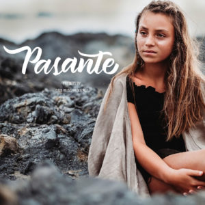 PASANTE PRESETS  /  Colección full